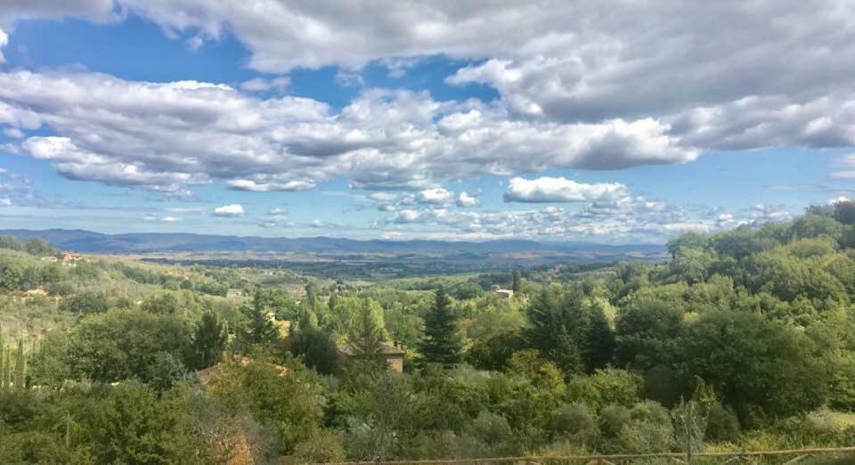 Residenza Al Poggio Degli Ulivi Holiday home *