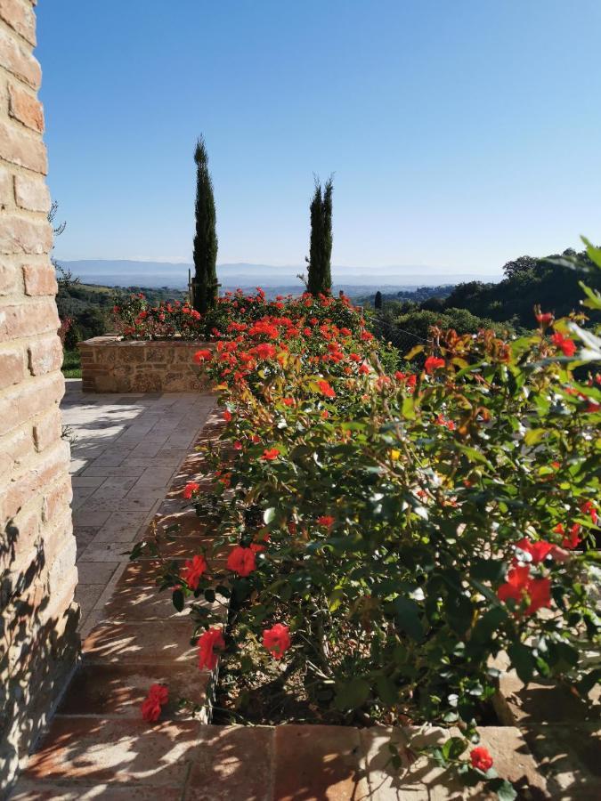 Residenza Al Poggio Degli Ulivi Holiday home
