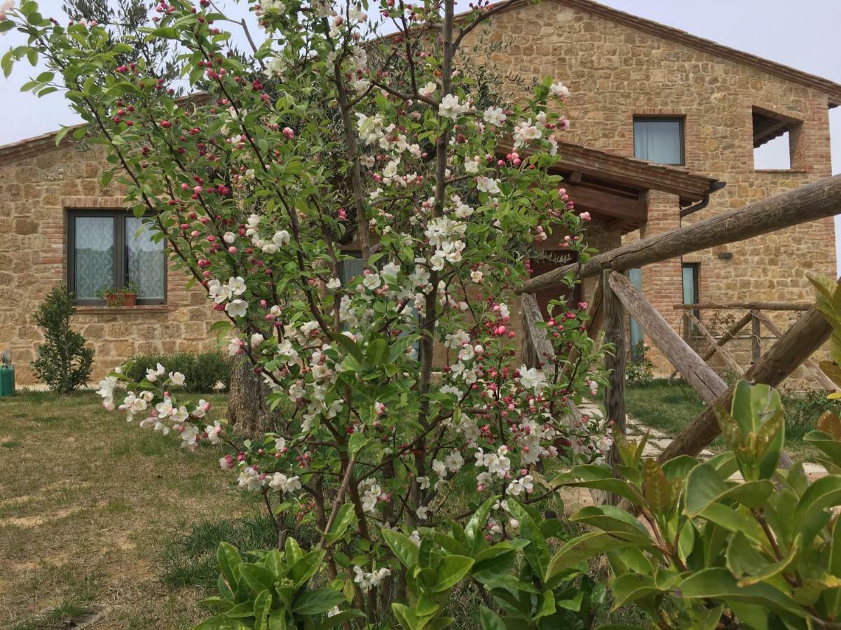 Residenza Al Poggio Degli Ulivi Vakantiehuis